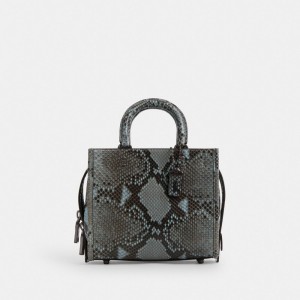 Coach Rogue 20 In Snakeskin Pewter/Blue | COH865174
