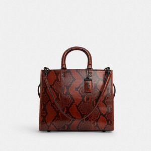 Coach Rogue Bag In Snakeskin Pewter/Orange | COH865135