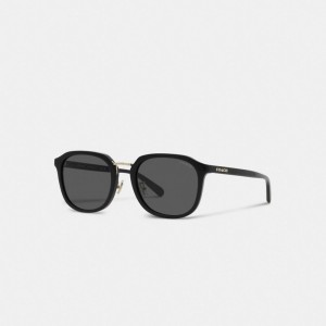 Coach Rounded Geometric Sunglasses Black | COH866374