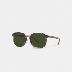 Coach Rounded Geometric Sunglasses Green Tortoise | COH866342