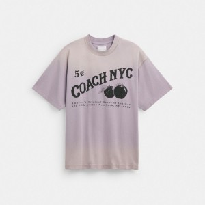 Coach Signature Apple T Shirt Purple | COH866921