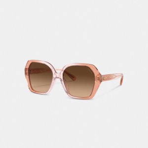 Coach Signature Ombré Geometric Square Sunglasses Brown Gradient | COH866380