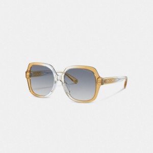 Coach Signature Ombré Oversized Square Sunglasses Blue Ombre | COH866332