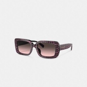 Coach Signature Oversized Rectangle Sunglasses Black/Pink | COH866333