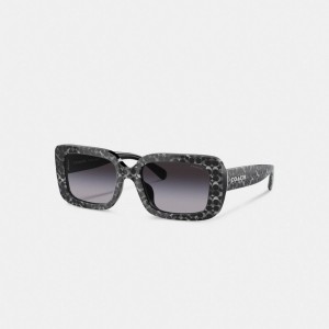 Coach Signature Oversized Rectangle Sunglasses Silver Pearlized Signature | COH866392