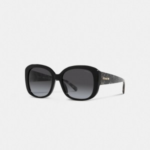 Coach Signature Oversized Square Sunglasses Black /Black Signature | COH866350