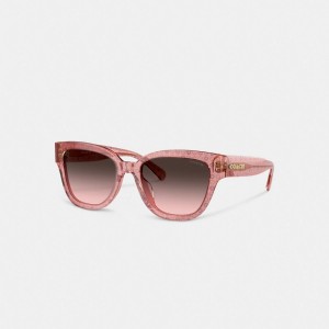 Coach Signature Round Sunglasses Pink Floral | COH866334