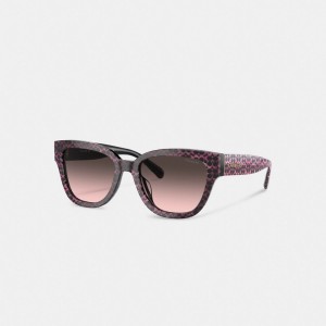 Coach Signature Round Sunglasses Ruby Pearlized Signature | COH866359