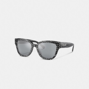 Coach Signature Round Sunglasses Silver Pearlized Signature | COH866393