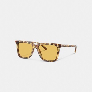 Coach Signature Square Sunglasses Honey Tortoise | COH866398