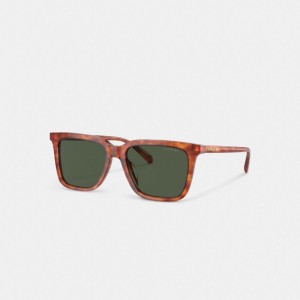 Coach Signature Square Sunglasses Tortoise Green | COH866338
