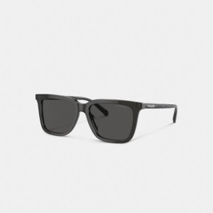 Coach Signature Square Sunglasses Transparent Grey/Signature | COH866363
