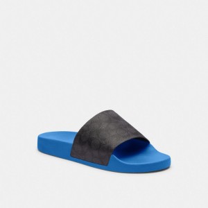 Coach Slide Blueberry | COH866841