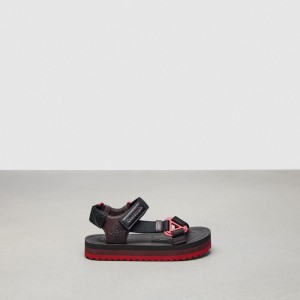 Coach Strappy Sandal Black/Oxblood Multi | COH865895