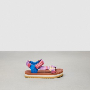 Coach Strappy Sandal Burnished Amber/Violet Multi | COH865873