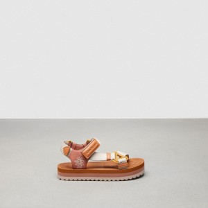 Coach Strappy Sandal Canyon/Cloud Multi | COH865858
