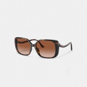 Coach Swoop Temple Rectangle Sunglasses Dark Tortoise | COH866325