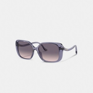 Coach Swoop Temple Rectangle Sunglasses Transparent Purple | COH866343