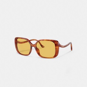 Coach Swoop Temple Rectangle Sunglasses Caramel Tortoise | COH866375