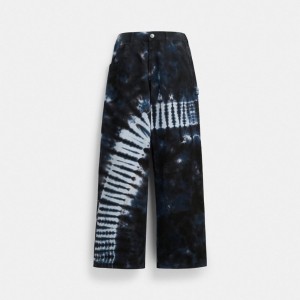 Coach Tie Dye Painter Pants In Organic Cotton Blue Multi | COH866042
